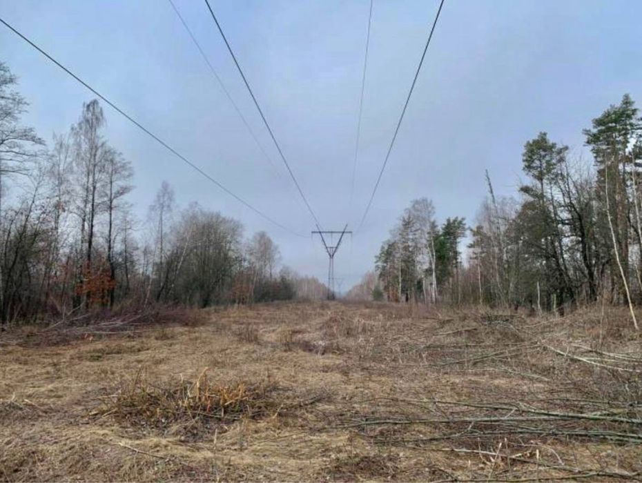 Продам земельний масив 78 Га. Фасівочка