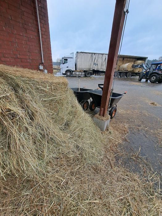 Baloty siana zielone pachnące
