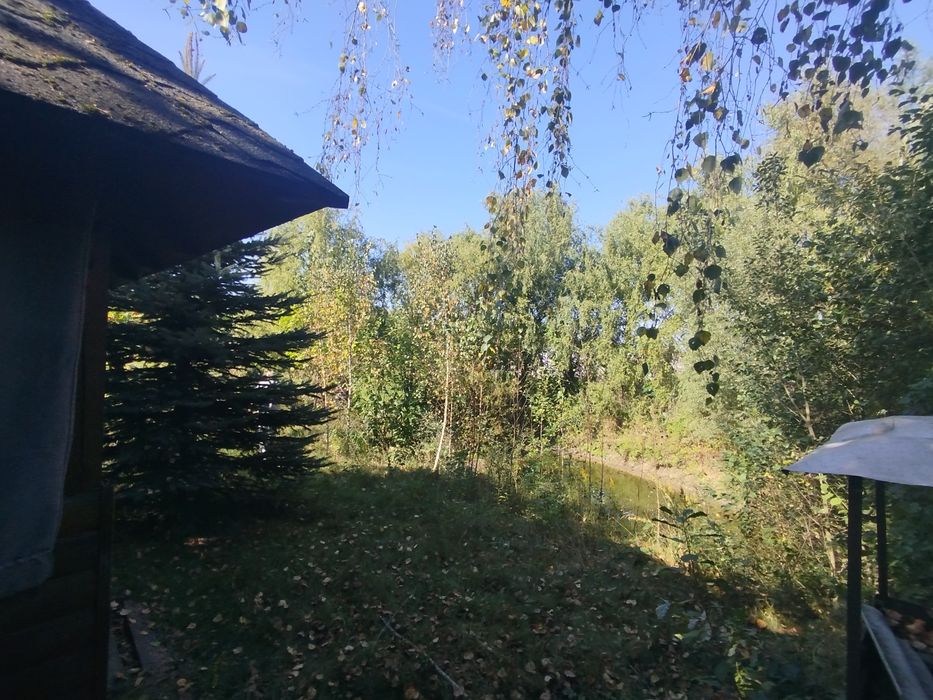 Будинок, ставок, земля біля Карпат, річка, ліс