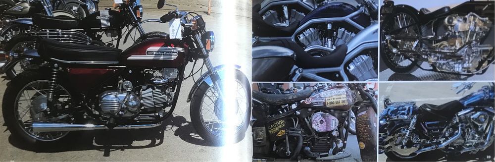 Harley Davidson (Gribaudo)