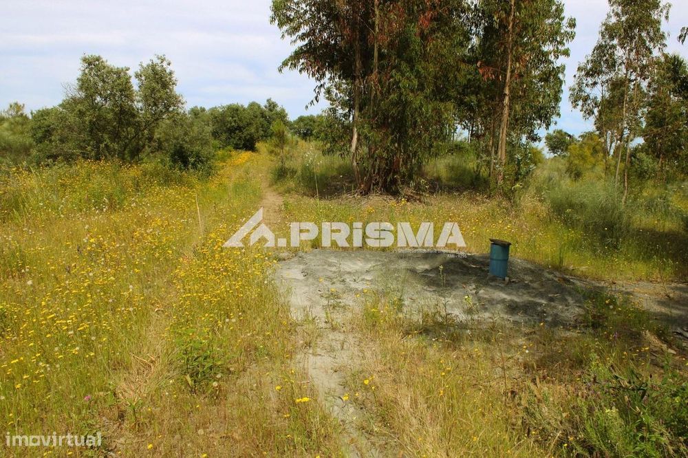 Quinta para Venda em União de Freguesias de Escalos de Baixo e Mata