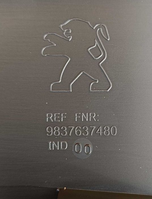 Friso Porta Trás ESQ PEUGEOT 2008 II (U_)