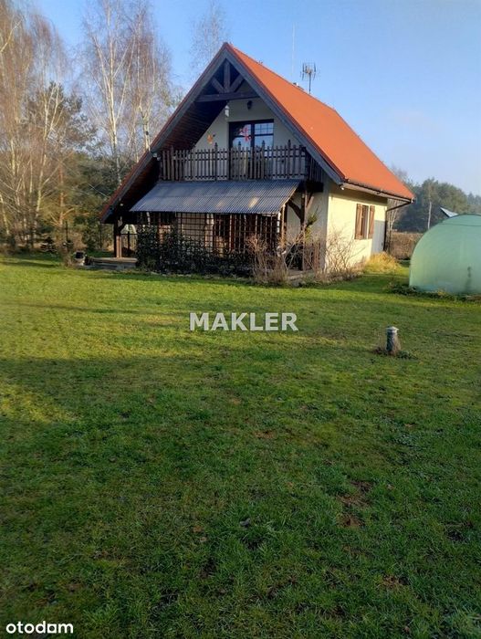 Biały Bór koło Grudziądza