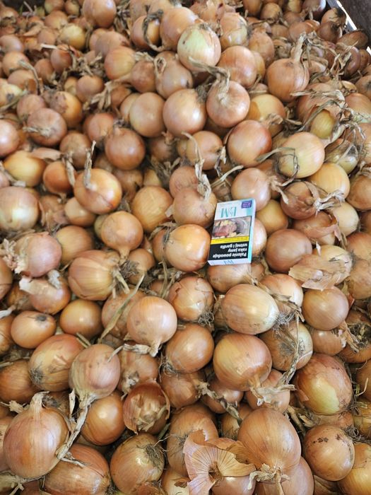 Sprzedam cebulę worek 15kg lub obraną