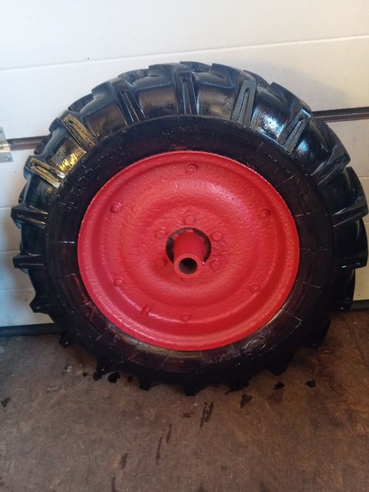 Dzik kola z piastami 16