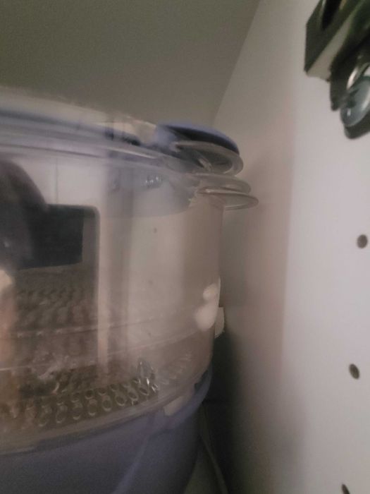 Parowar Zelmer, Model 37Z010