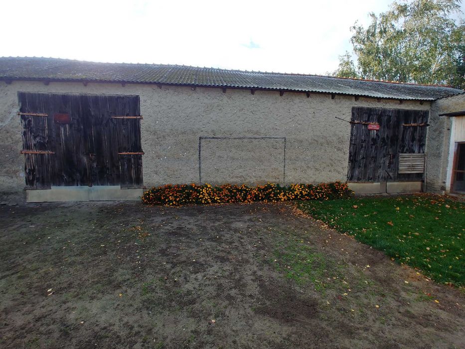 Gospodarstwo rolne 7,5 ha z budynkami - Widok 5