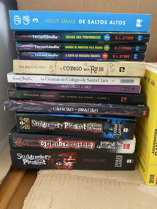 Lote de livros variados de género