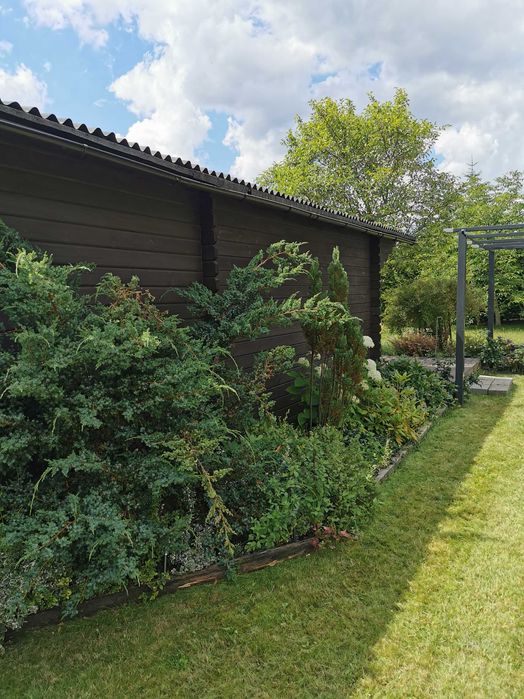 Działka ROD Huta Stara B, 700m2