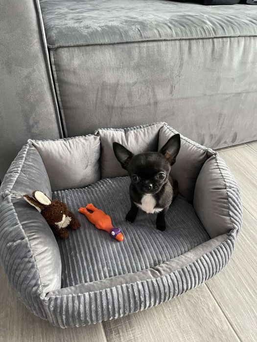 Лежак/спальне місце