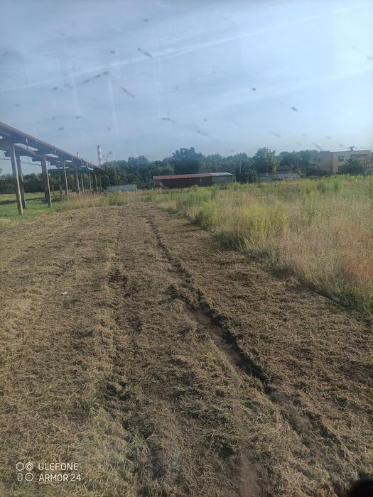 Koszenie działek /nieużytków/zrąbkowanie gałęzi /wycinka drzew /usłu