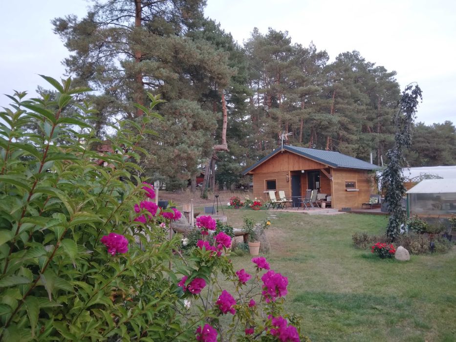 Cichy Kącik, domek na wynajem , 4 osobowy.