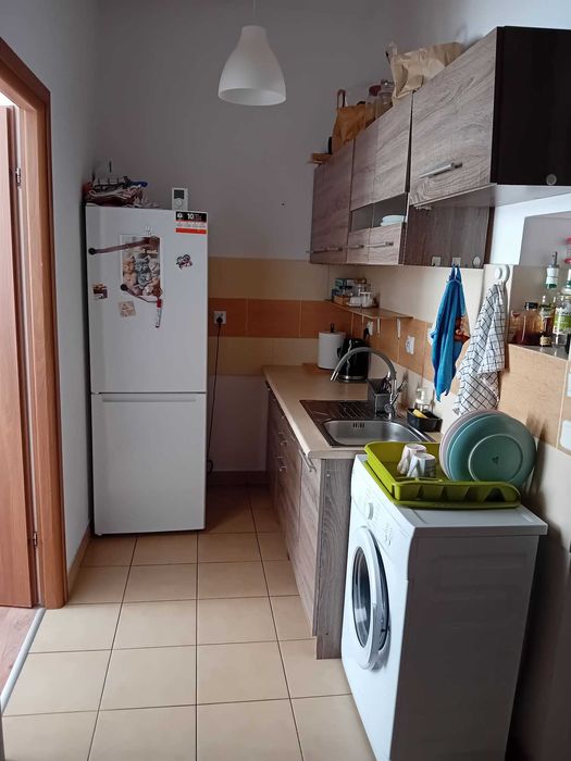 Do wynajęcia pokój w Katowicach