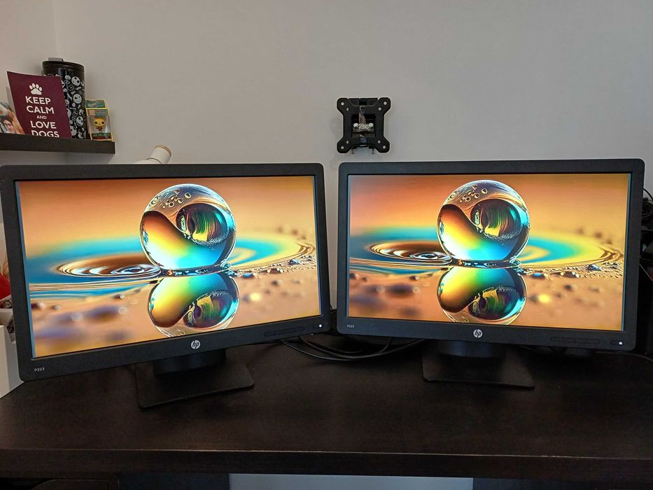 2 HP Computer Monitors P223442910158064209920