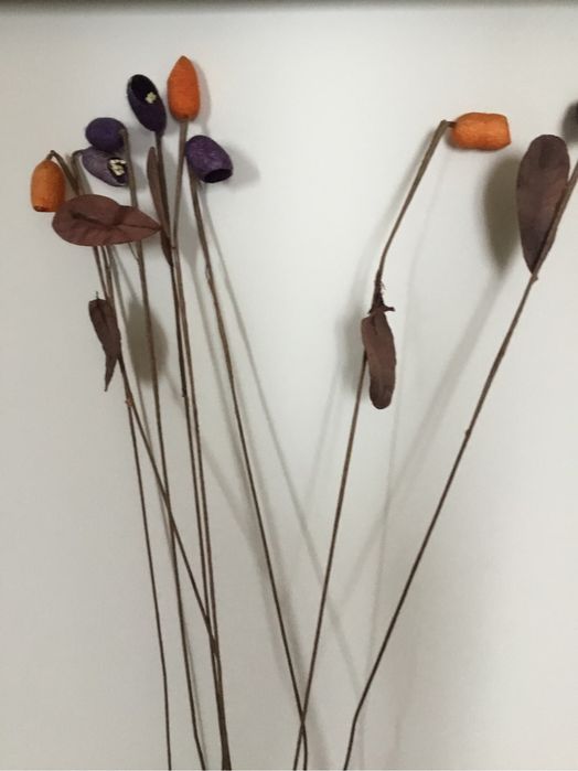 Flores casulos coloridas