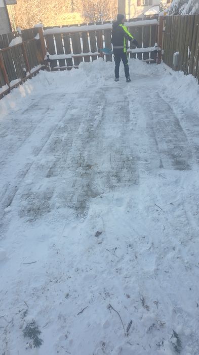 Odśnieżanie I wycinka drzew