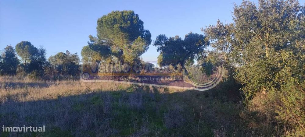 Terreno em Mora (MOR088)