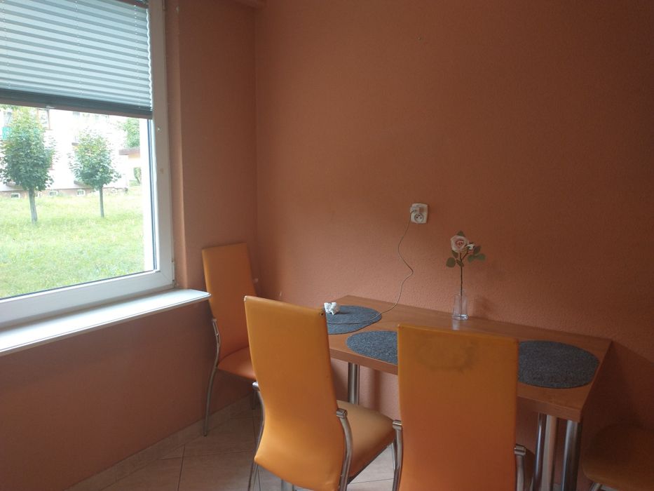 Mieszkanie M 5 do wynajęcia - Widok 4