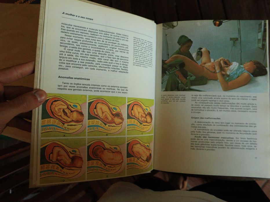 Livro do Casal, Coleção