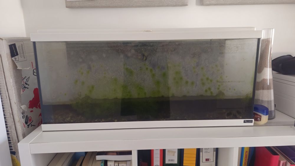 Aquario 80cm Aquatlantis