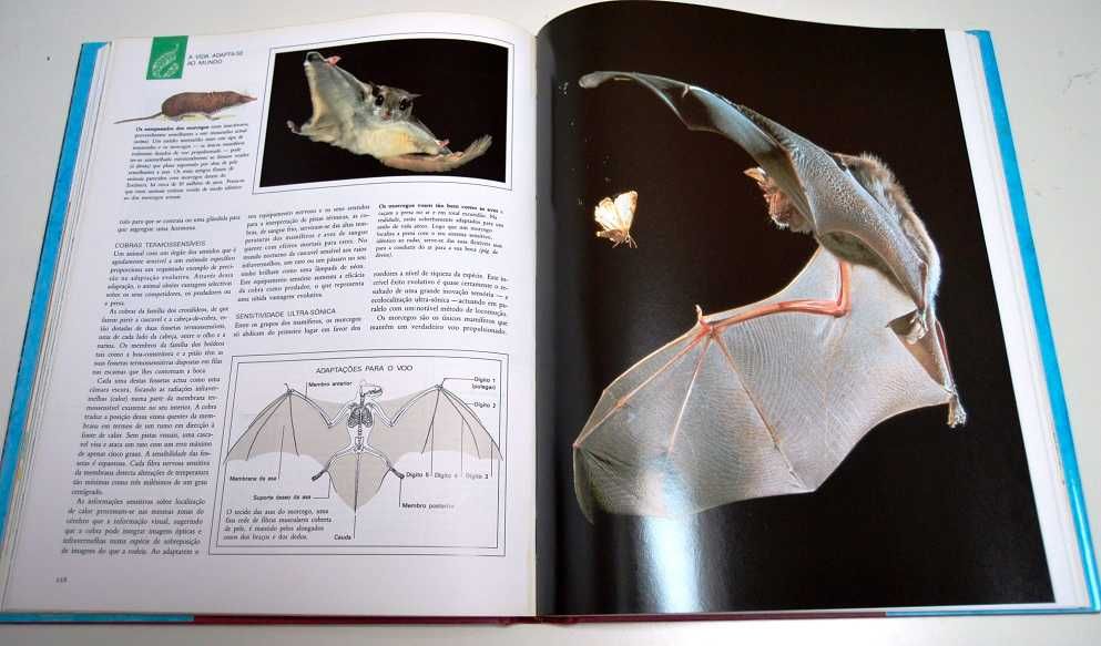 História Natural da Evolução