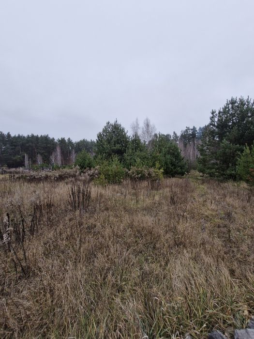 Продається земельна ділянка в Озерному.