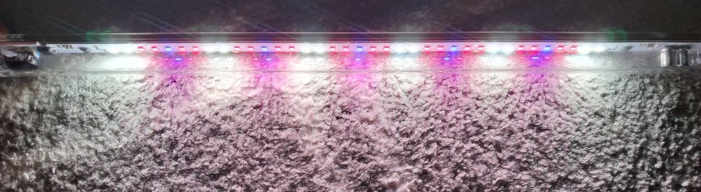 Aquael Leddy Tube Plant 2.0 10W