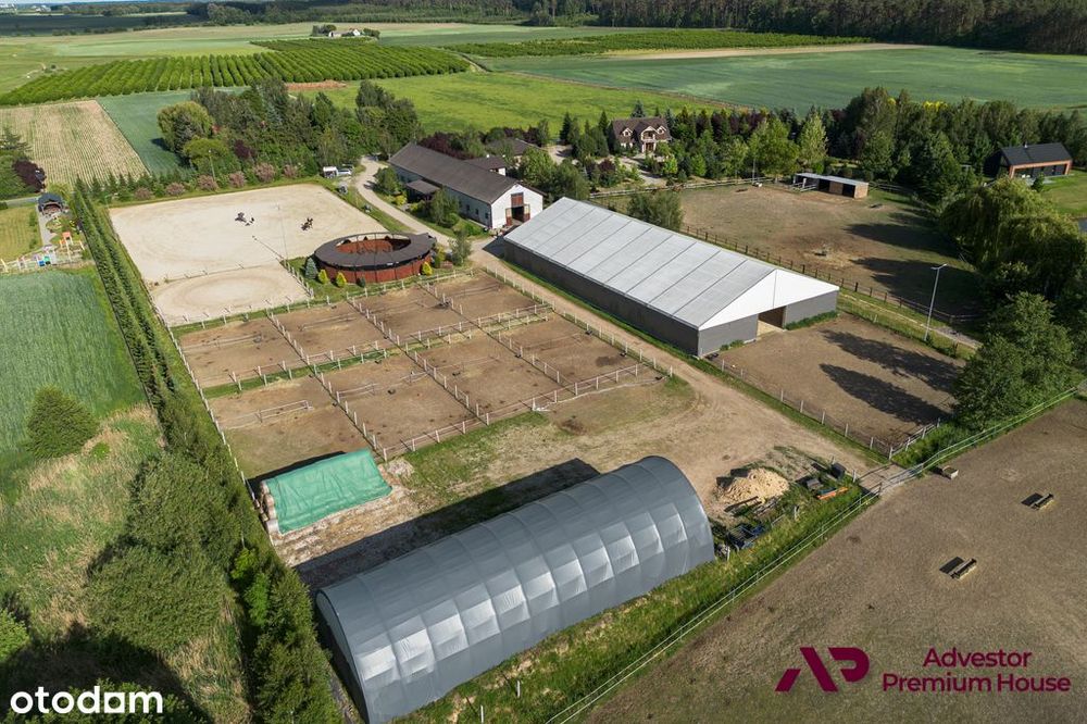 Na sprzedaż stajnia w Wielkopolsce | pracujący pensjonat