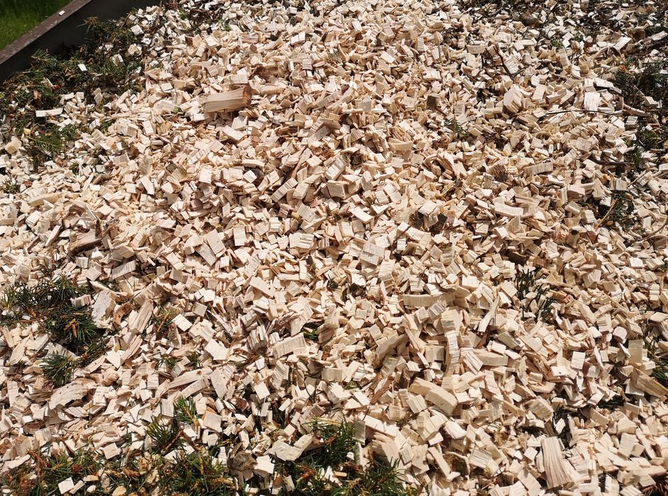 Usługa rębakiem,Frezowanie Pni,Wycinka drzew,Czyszczenienie działek