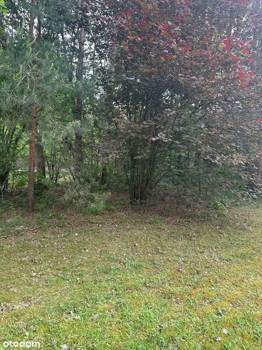 Działka budowlana przy ulicy Kieleckiej w Radomiu - Widok 5