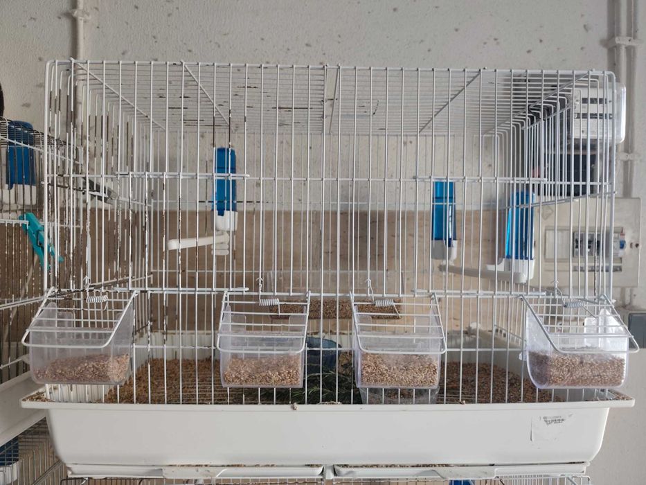 Gaiolas em bom estado