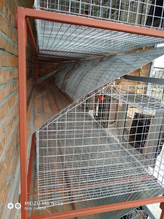 Клітка для кролів, нутрій