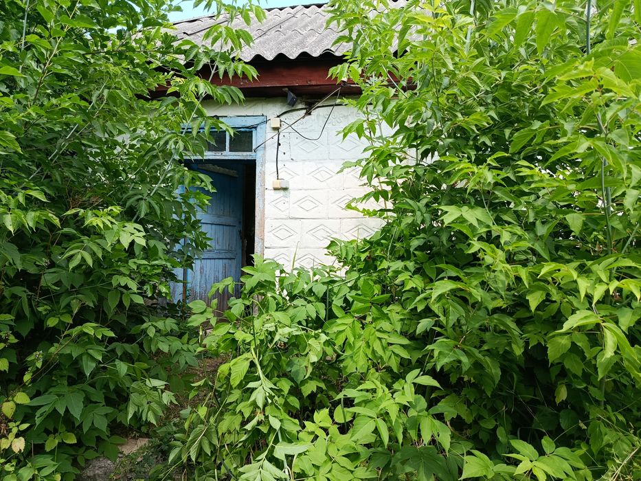 Будинок та земельна ділянка