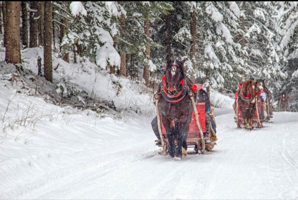 Kuligi z pochodniami