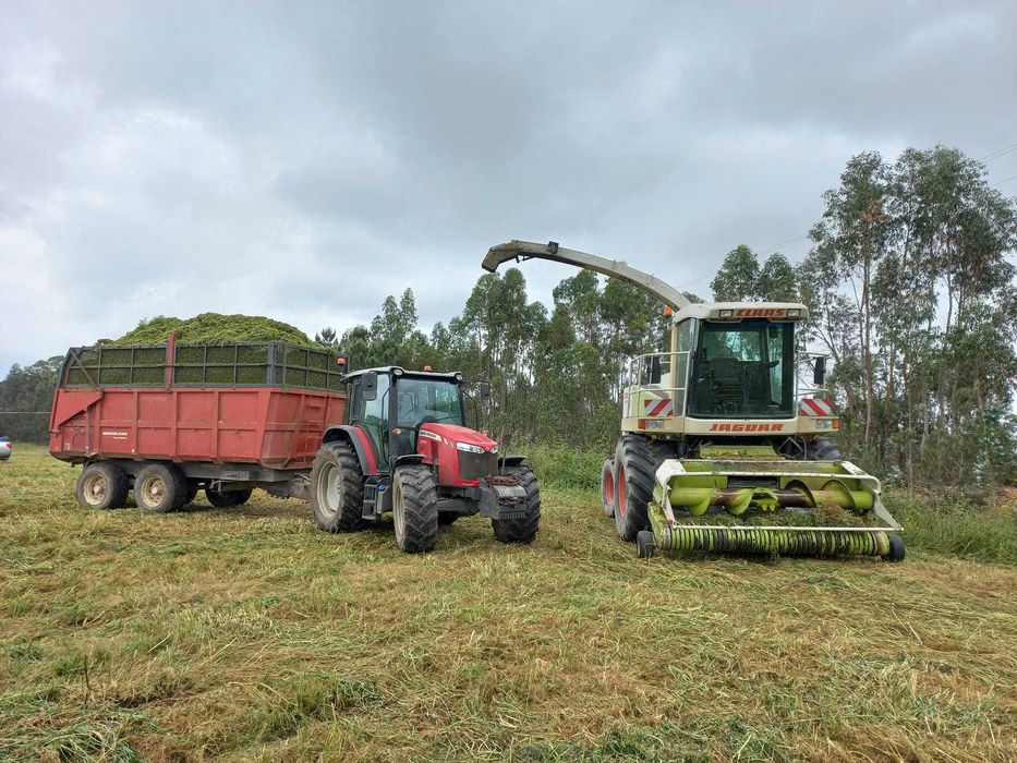 Prestação de serviços agrícolas