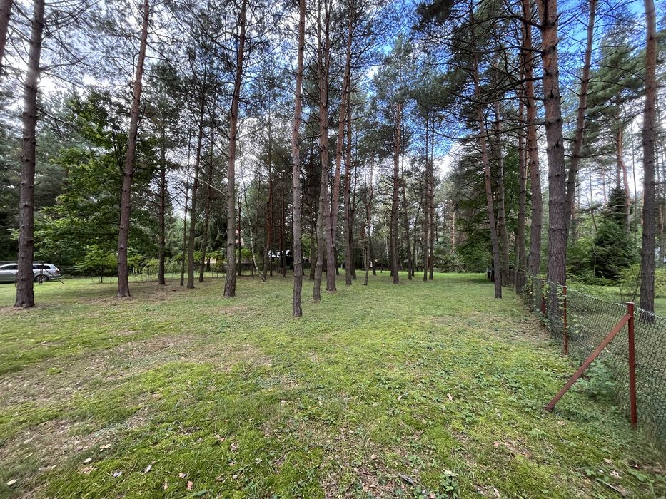 Radawa dzielnica Kudryki