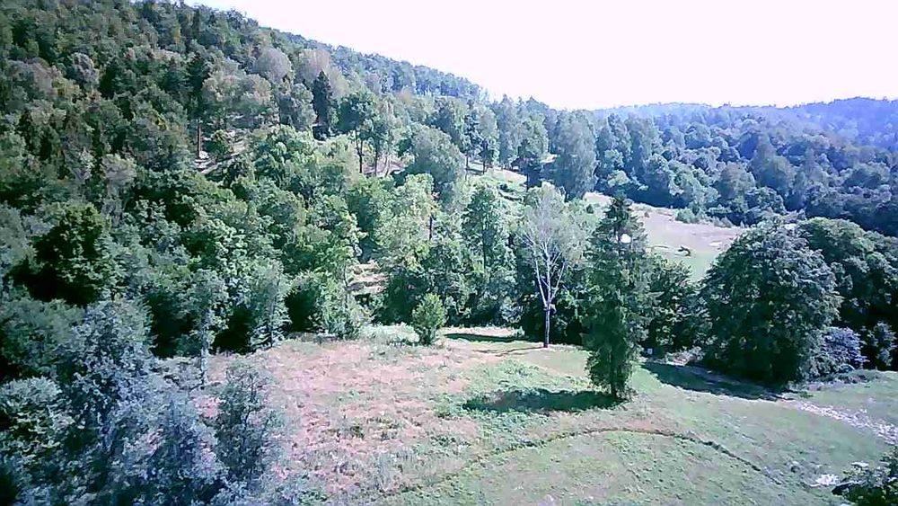 Działka w Bieszczadach  1,30 ha, w tym ponad hektar zadrzewiony