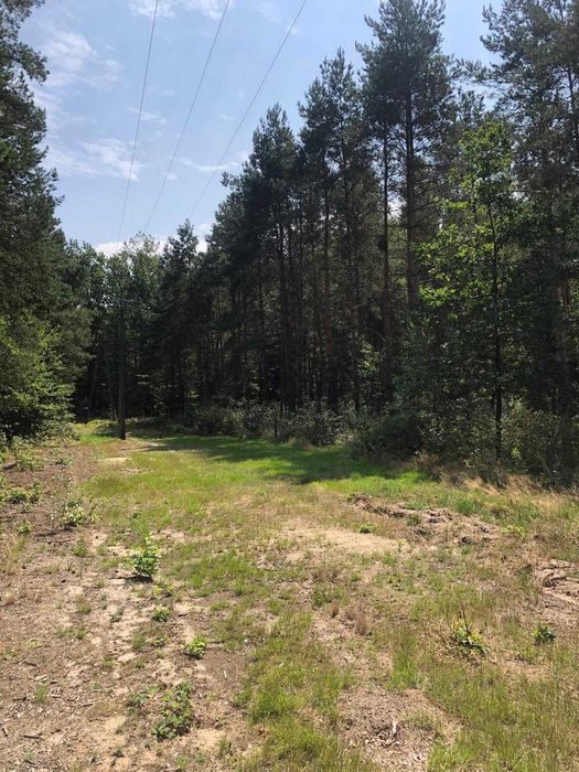 nieruchomosc komercyjna, sotrownia  odpadow komunalnych, 2 ha ,600m2