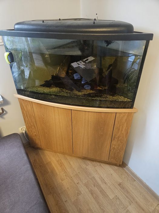 Akwarium rogowe z szafką