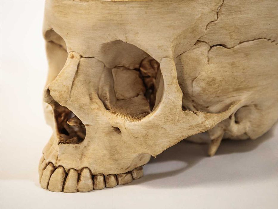 Crânio humano tamanho real -Impresso em 3D e pintado à mão - Halloween