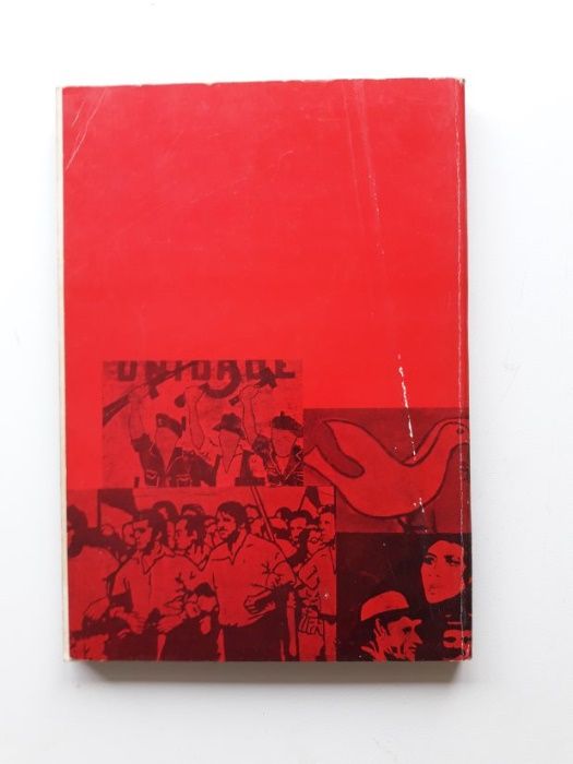 Livro "As Paredes na Revolução Graffiti"