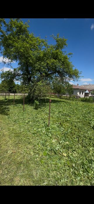 Косіння трави ділянок чагарників