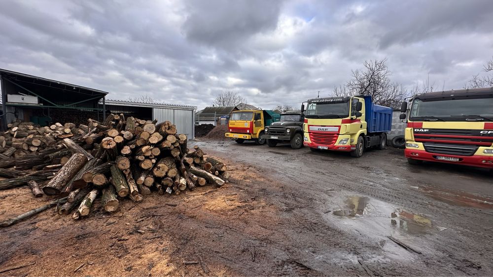 Купити дрова твердих порід:дуб,ясен,акація.Продаж,доставка.ЗІЛ,ГАЗ,ДАФ