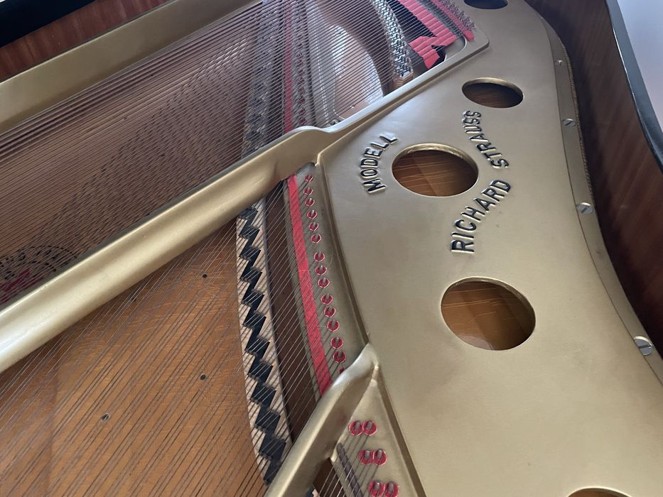 BAIXA PRECO - Piano cauda IBACH / modelo FIII - Richard Strauss