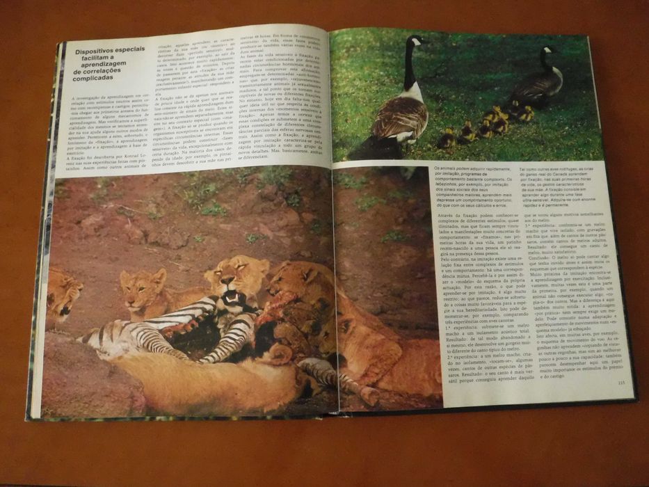Animais Formas e Ambientes