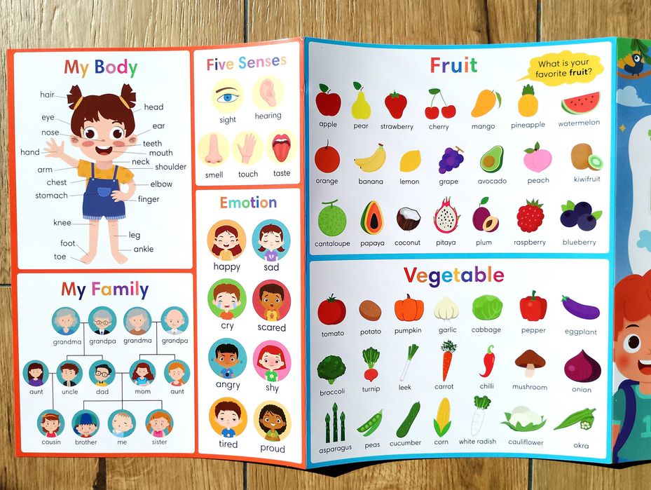 Edukacyjny plakat A4 - My First Learning - Angielski dla dzieci