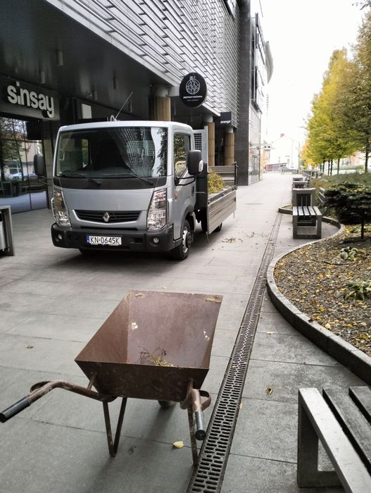 Usługi transportowe