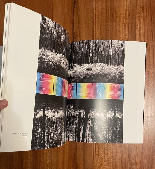 Alberto Carneiro - Manifestos: Antologia Breve