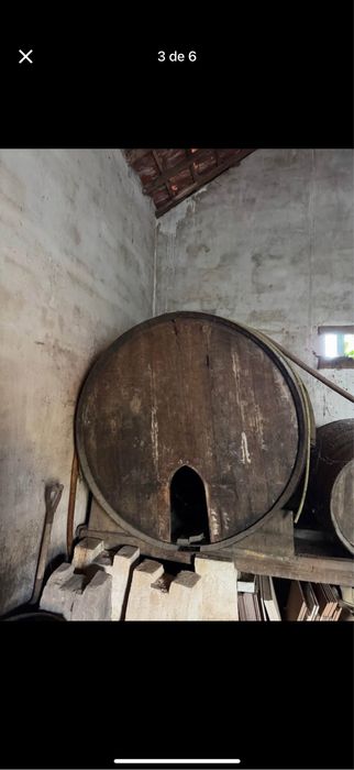 3 pipas antigas de adega em madeira