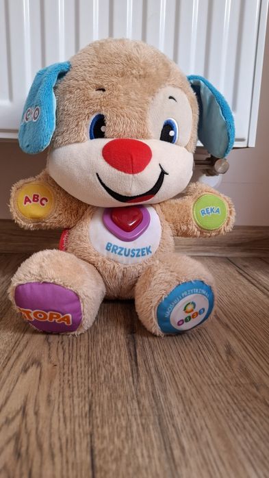 Szczeniaczek Uczniaczek